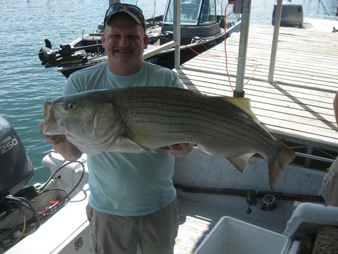 Nice Striped Bass